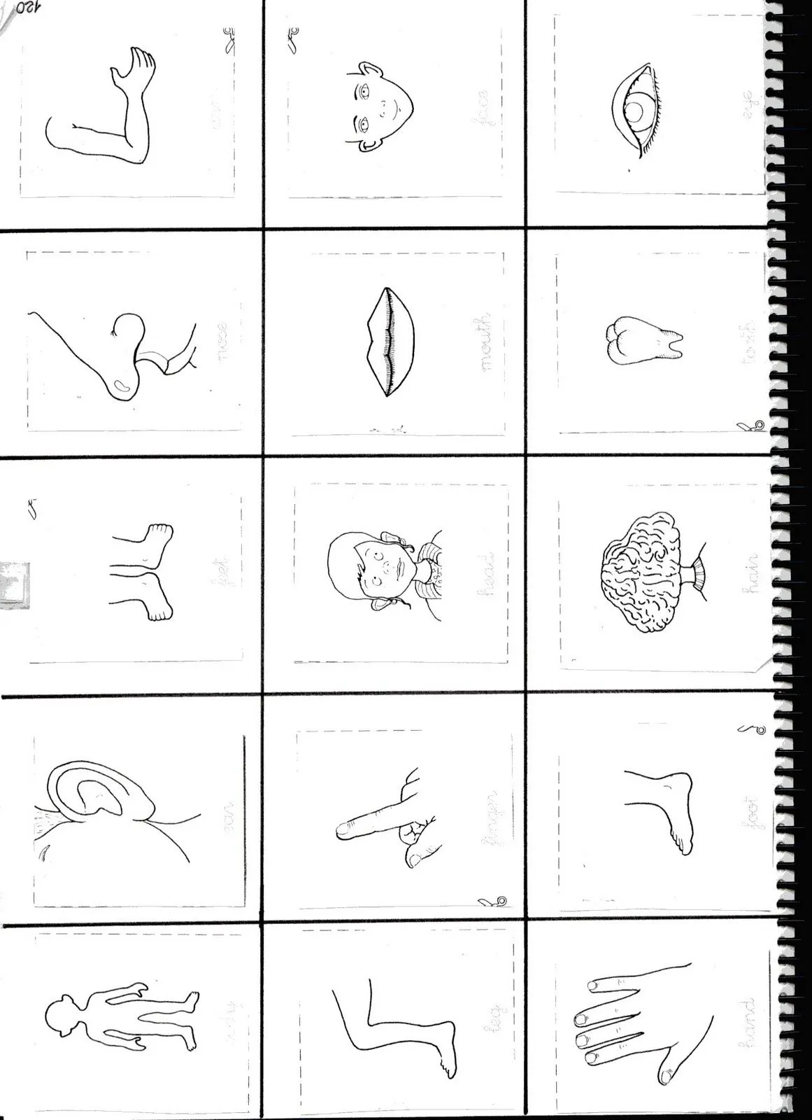 Fichas de inglés: noviembre 2011