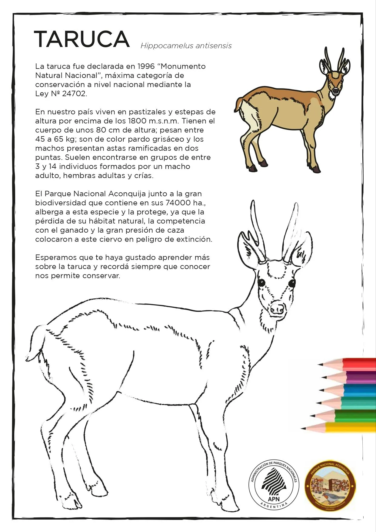 Fichas y libritos para colorear | Argentina.gob.ar Fichas y libritos para colorear | Argentina.gob.ar