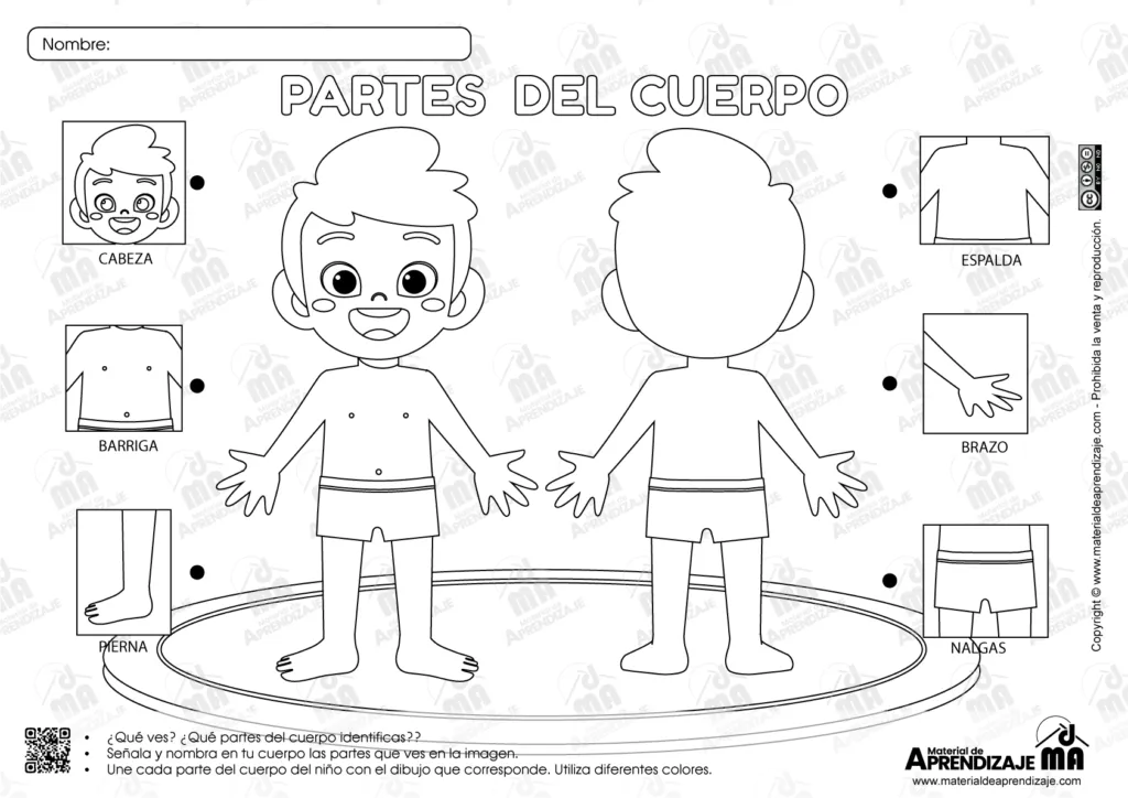 Fichas de trabajo - Las partes del cuerpo para niños de 3 años : Material de Aprendizaje Fichas de trabajo - Las partes del cuerpo para niños de 3 años : Material de Aprendizaje