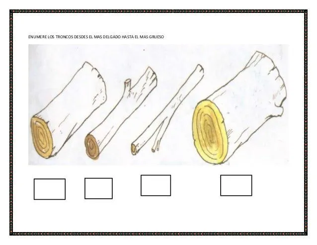 Fichas para preescolar de grueso y delgado - Imagui