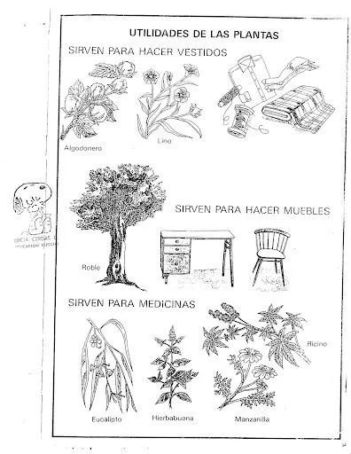 DOCUMENT0025.jpg?imgmax=640