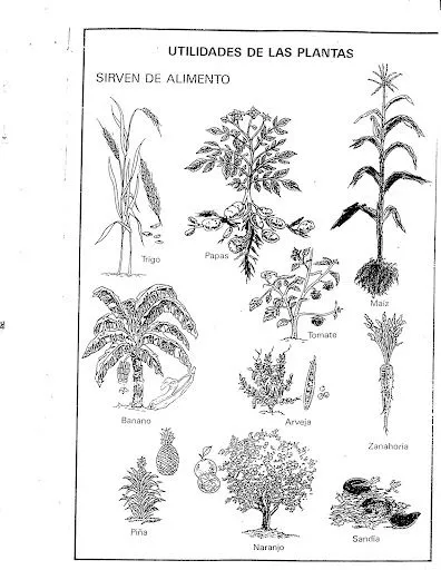 DOCUMENT0023.jpg?imgmax=640