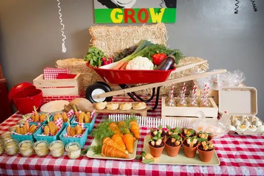 fiesta granja | decoracion fiesta granja pic 2 clasificados ... fiesta granja | decoracion fiesta granja pic 2 clasificados ...