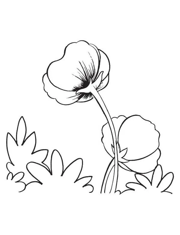figura-de-flor-para-colorear.jpg