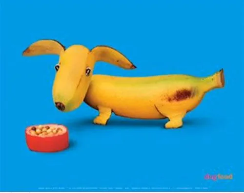Figuras de animales hechas con frutas y verduras | Manualidades ...