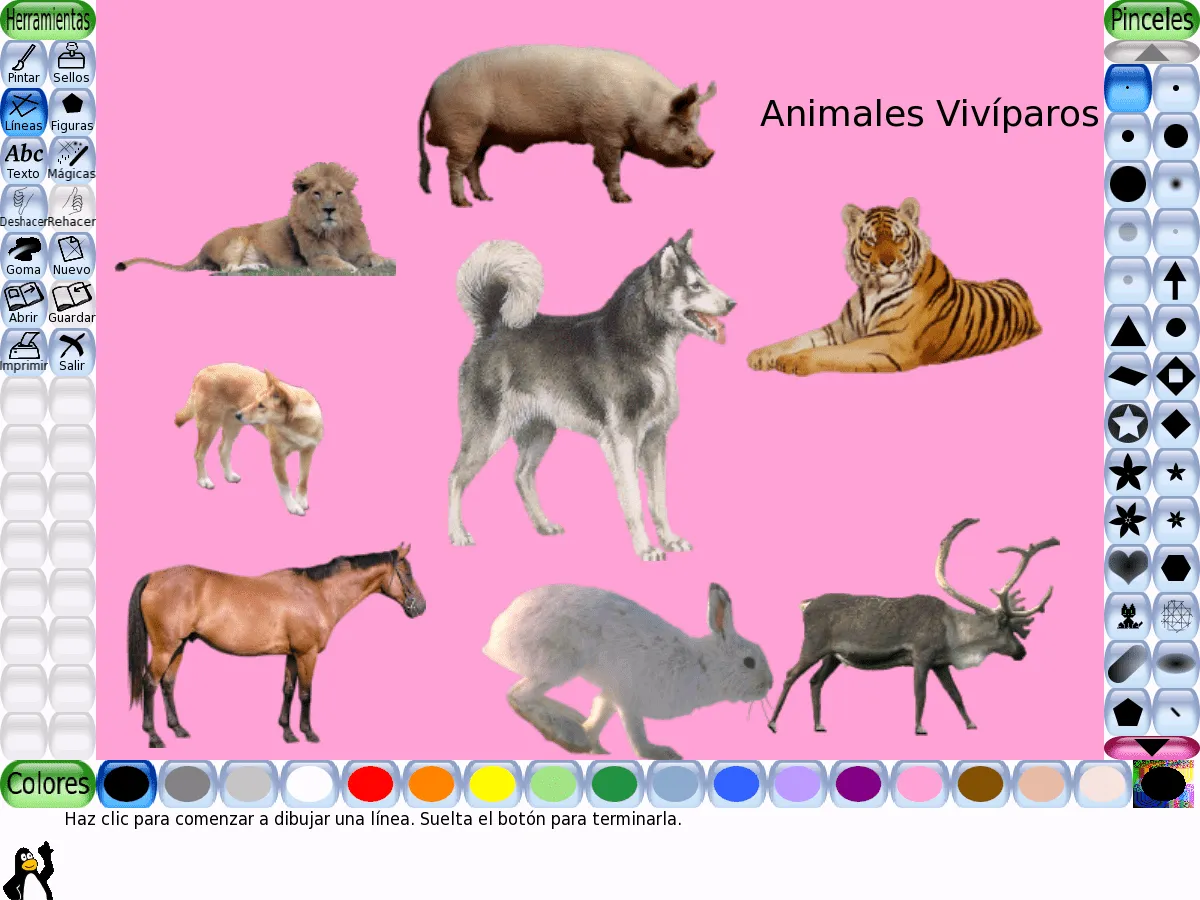 Figuras de animales oviparos y viviparos - Imagui Figuras de animales oviparos y viviparos - Imagui