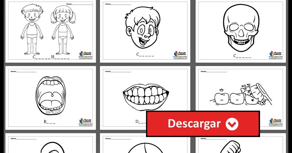 Figuras del cuerpo humano para colorear - AYUDA DOCENTE Figuras del cuerpo humano para colorear - AYUDA DOCENTE