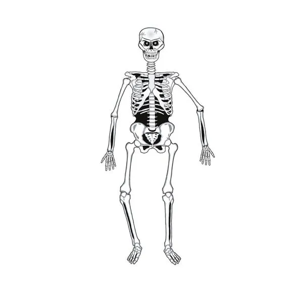 Figuras decorativas | FunideliaES - Ropa Online Figuras decorativas | FunideliaES - Ropa Online