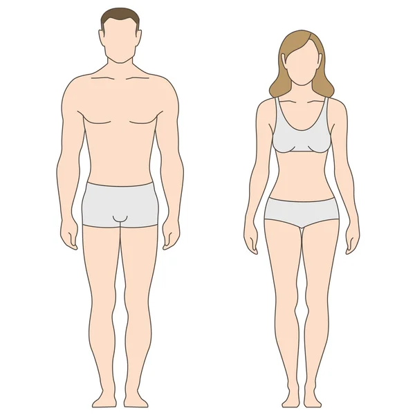 Figuras de hombre y mujer — Vector stock © reinekke #62058205 Figuras de hombre y mujer — Vector stock © reinekke #62058205