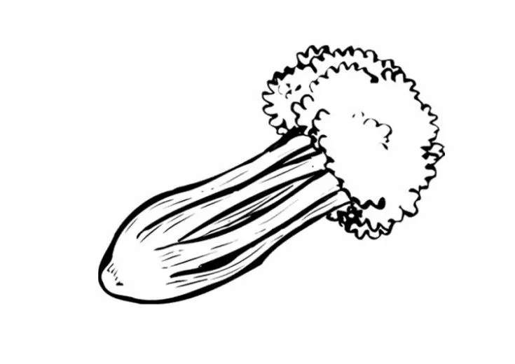 Free coloring pages of apio animado