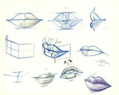 figurinjdb: Rasgos del rostro.