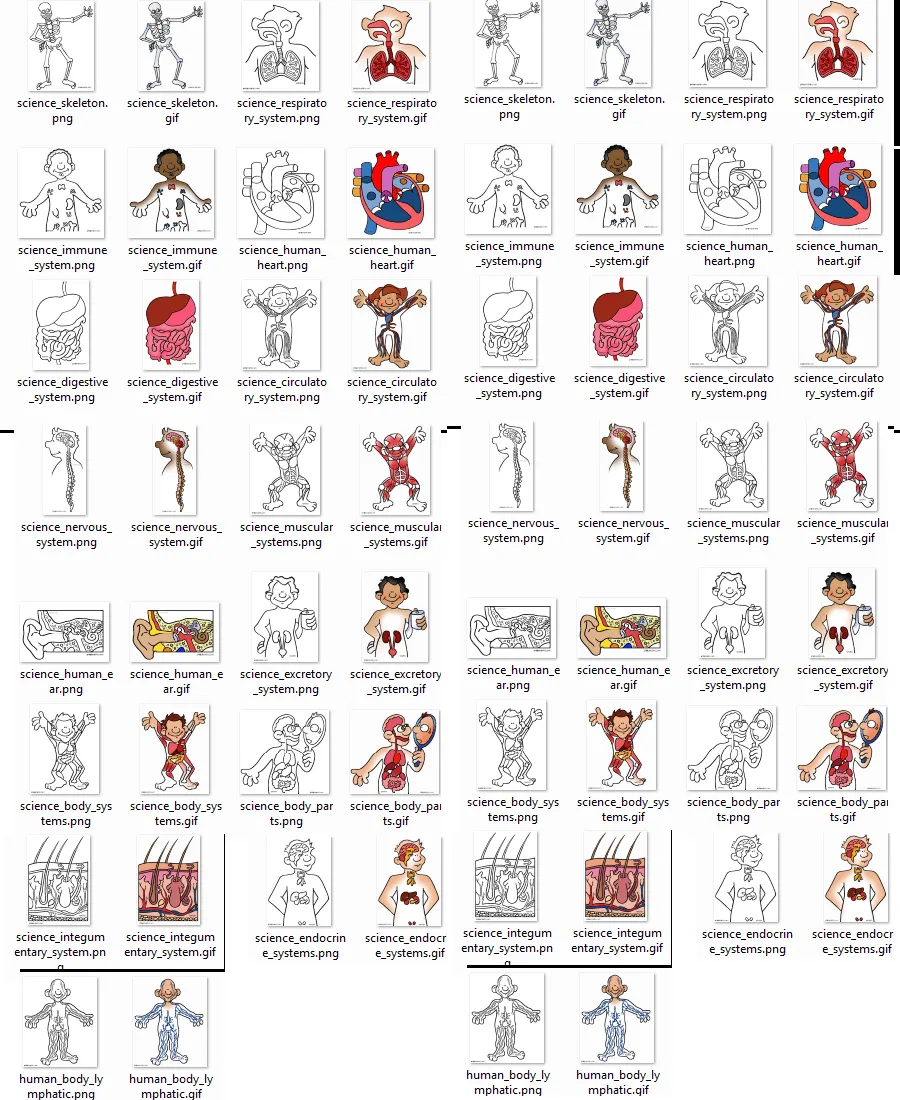 FIGURITAS de :”El cuerpo humano” para colorear (en Inglés) « PARA ... FIGURITAS de :”El cuerpo humano” para colorear (en Inglés) « PARA ...