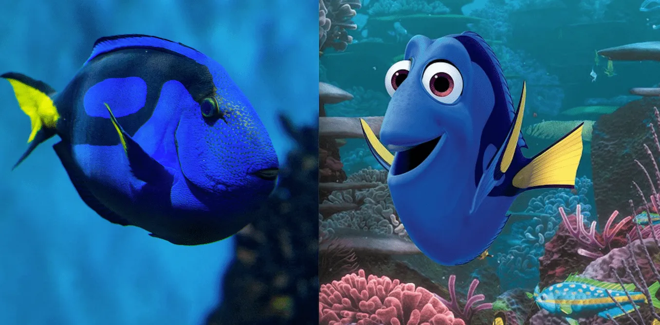 Finding Dory did not increase demand for pet fish despite viral ...
