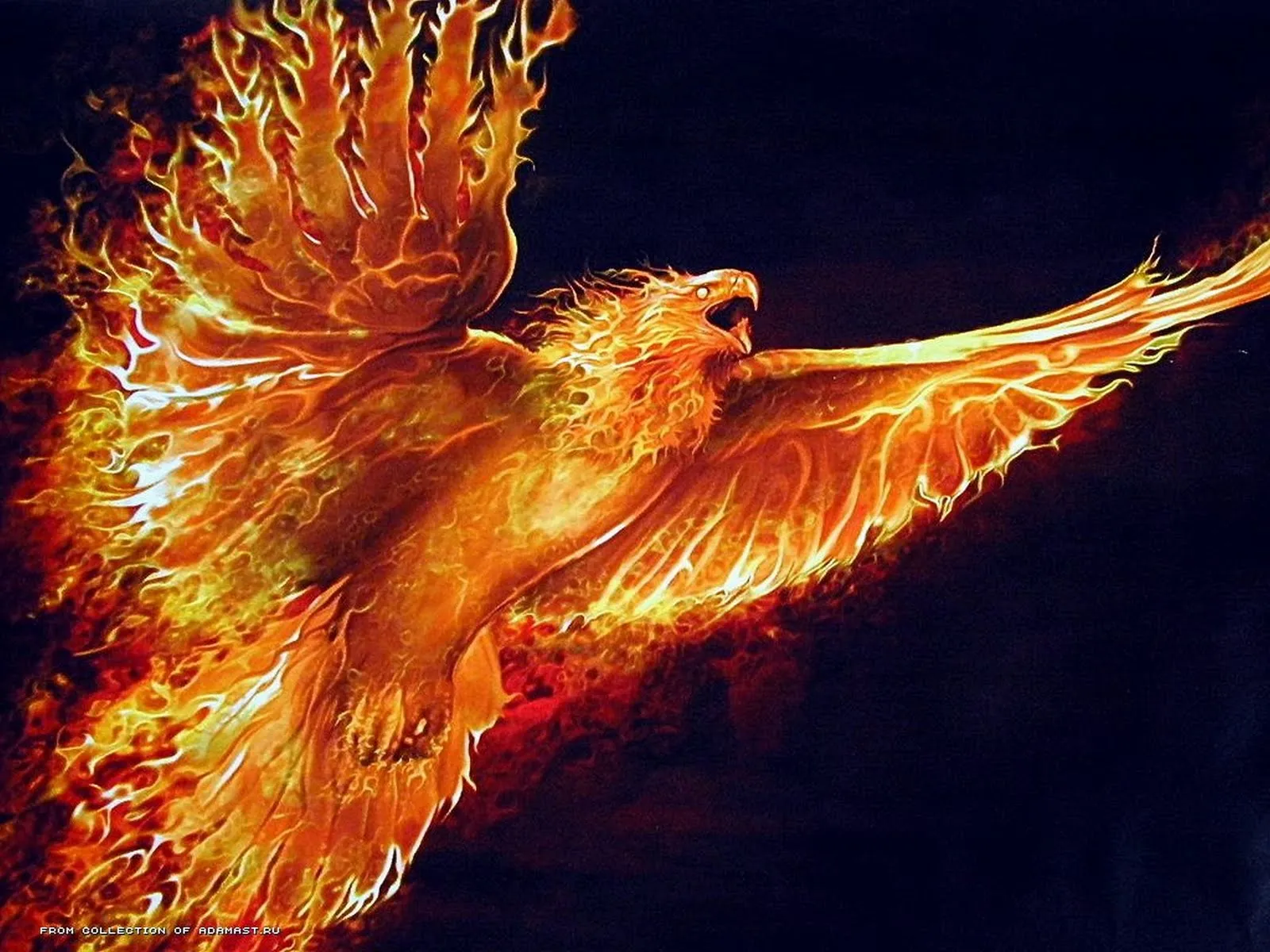 fire-element-wallpaper-11