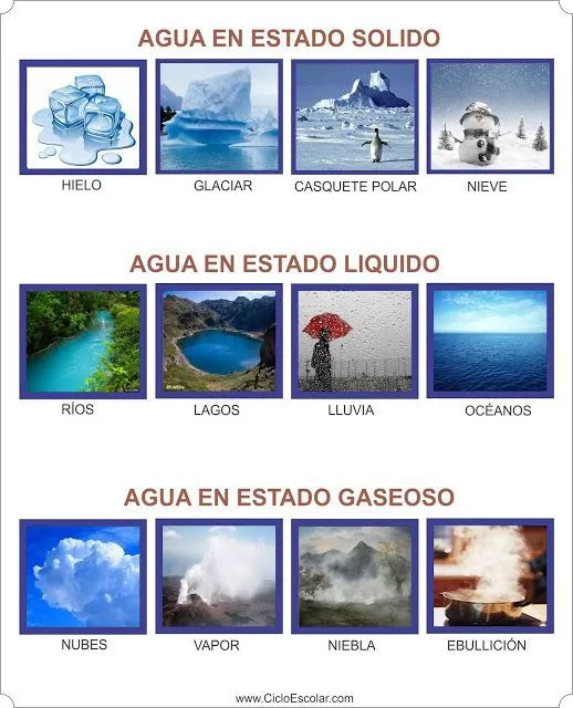 Los estados físicos del agua - Ejemplos | Estados fisicos del agua, Estados  de la materia, Ciclo del agua