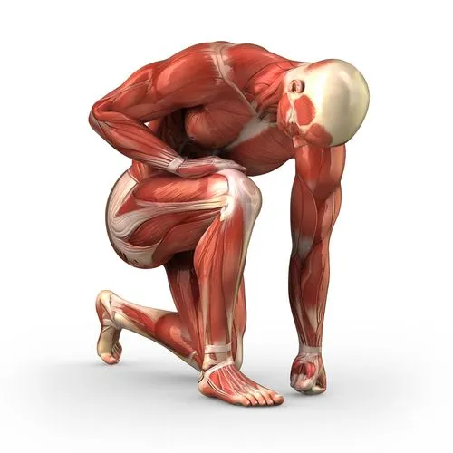 Fisioterapia: El Dolor Muscular Tardío (DOMS)