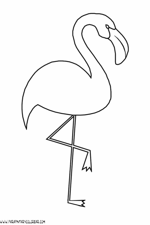 dibujos-de-flamencos-02