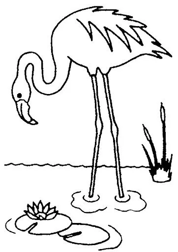FLAMENCOS DIBUJOS PARA COLOREAR | Dibujos para colorear FLAMENCOS DIBUJOS PARA COLOREAR | Dibujos para colorear