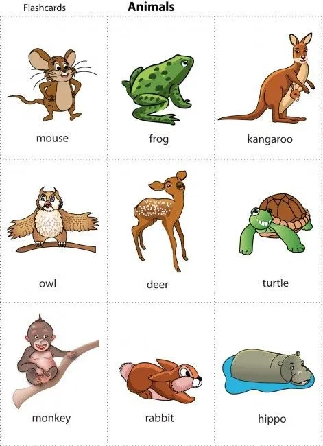 FLASHCARDS FOR KIDS: ANIMAL CARDS FOR CHILDREN