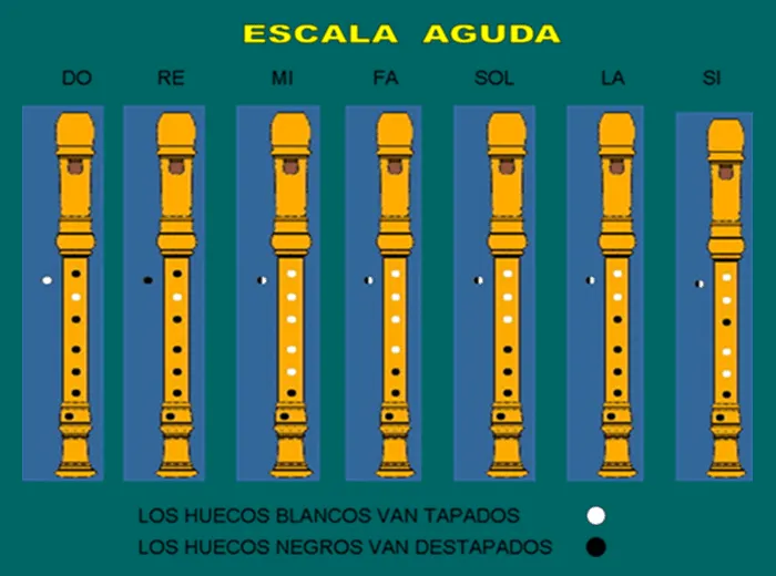 La Flauta Dulce: Escalas y notas de la flauta dulce soprano La Flauta Dulce: Escalas y notas de la flauta dulce soprano