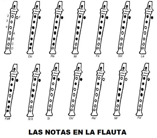 flauta notas Posición de dedos | Cursos de guitarra flauta notas Posición de dedos | Cursos de guitarra