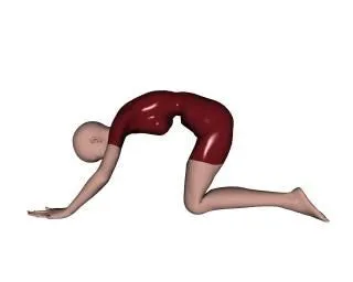 Flexibilidad | Fotos y Vectores gratis