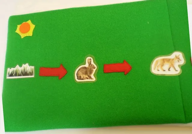 Flickr: DISEÑOS K I W I's Photostream