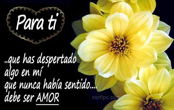 para ti | Flickr - Photo Sharing!