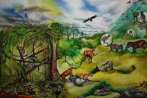 Flickr: The Ilustracion en latinoamerica Pool Flickr: The Ilustracion en latinoamerica Pool