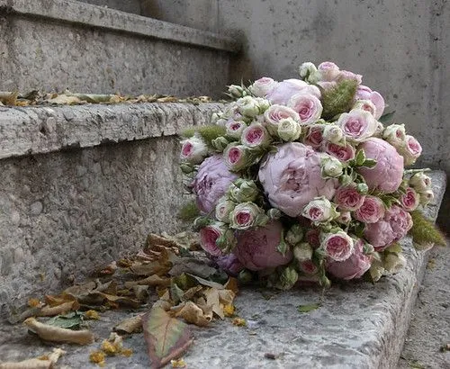 Flickr: yazmisha's Photostream