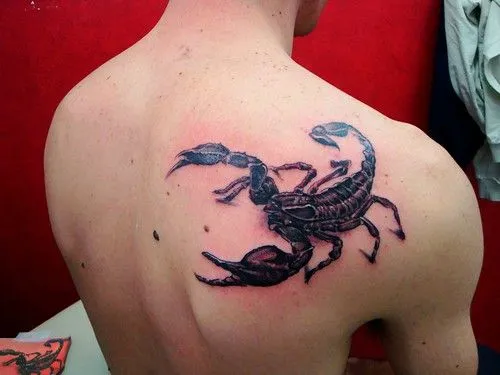 Flickriver: augus tattoo By Cariba ag. Florast. 14 8610 Uster.'s ... Flickriver: augus tattoo By Cariba ag. Florast. 14 8610 Uster.'s ...