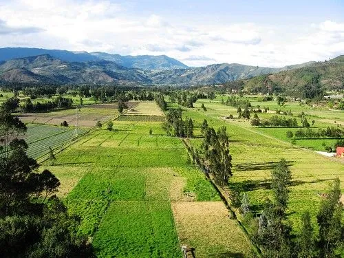 Flickriver: DAIRO CORREA's photos tagged with boyaca Flickriver: DAIRO CORREA's photos tagged with boyaca