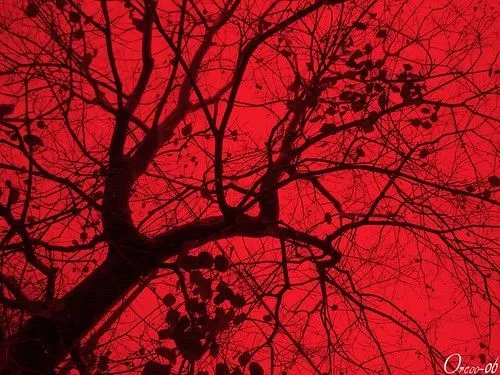 Flickriver: Most interesting photos from YO ♥ A MÉXICO!!! ¿apoco ... Flickriver: Most interesting photos from YO ♥ A MÉXICO!!! ¿apoco ...