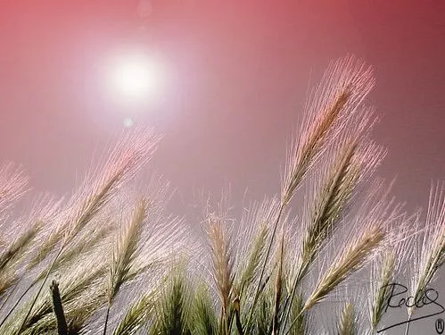 Flickriver: .Redi.'s most interesting photos Flickriver: .Redi.'s most interesting photos