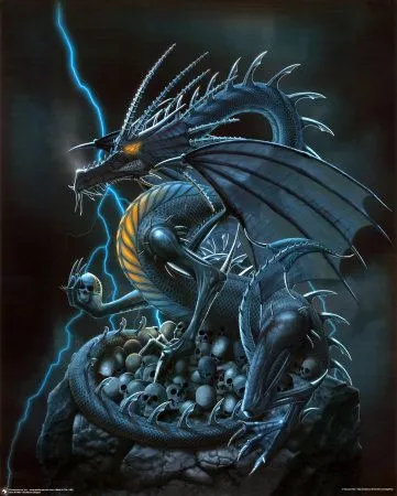 Flight of the Dragon: January 2012