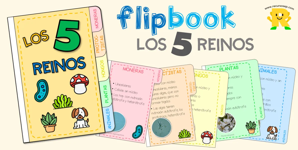 FLIPBOOK – Los 5 reinos de los seres vivos