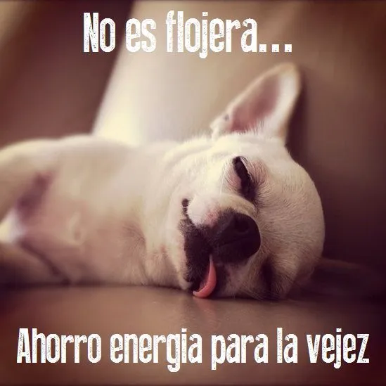 No es flojera... Ahorro energía para la vejez... #Citas #Frases ...