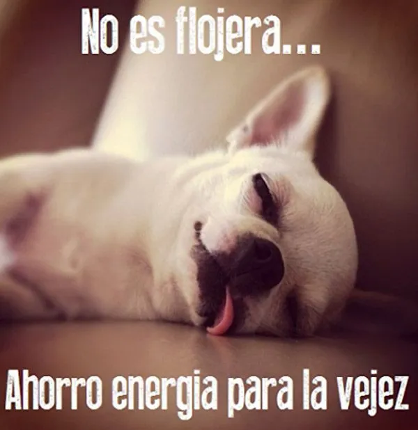 No es flojera | Casos y Cosas | Pinterest