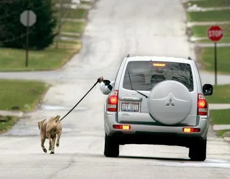 Imagenes que digan tengo flojera - Imagui