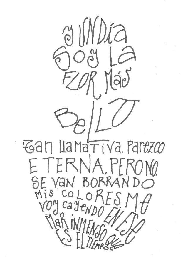 La flor más bella – Mi ventana al mundo
