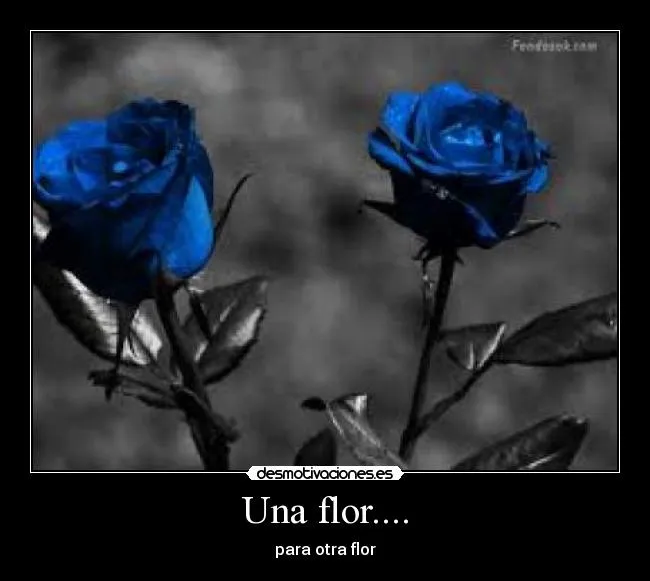 Una flor.... | Desmotivaciones Una flor.... | Desmotivaciones
