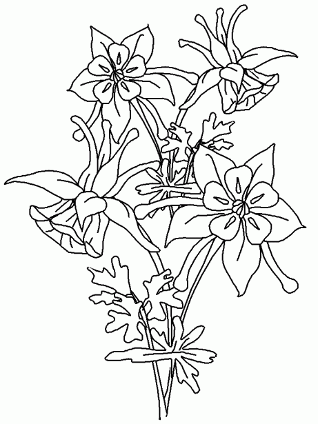 flor-exotica-para-colorear.gif