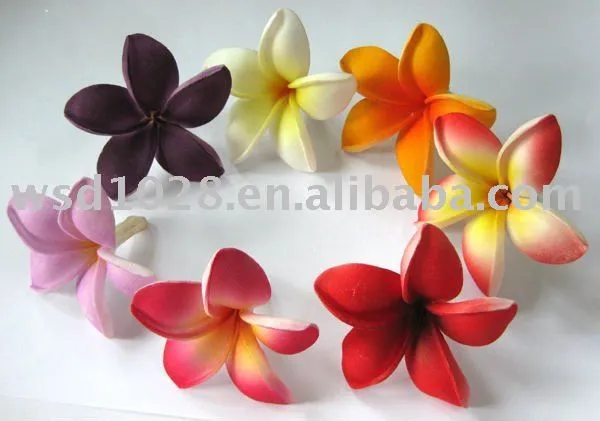 Flor, La flor del plumeria, La flor del hibisco, Frangipani de la ...