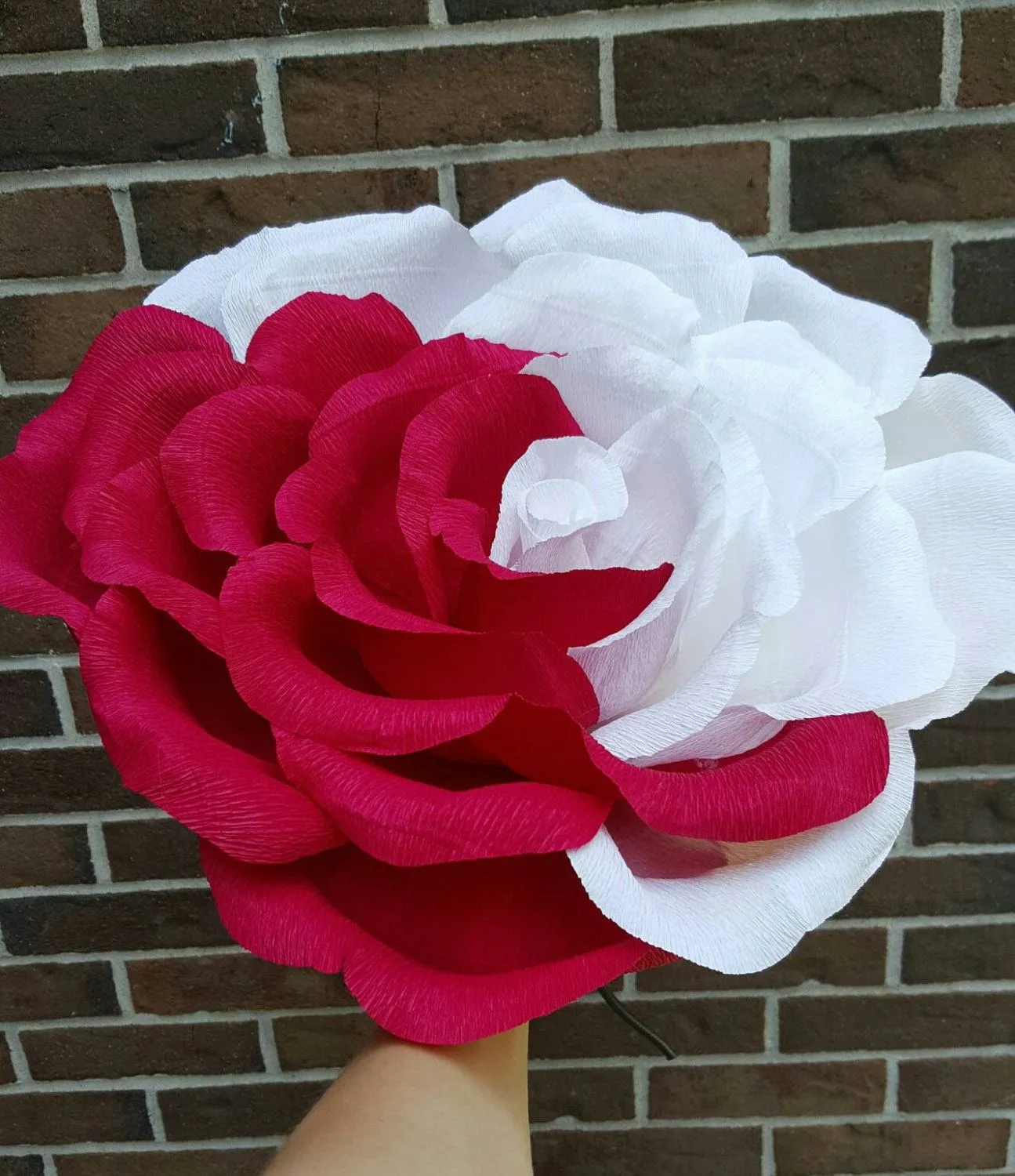 Flor gigante de papel crepe en mezcla de colores rojo y - Etsy México