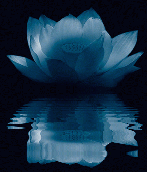 Hermética: Flor de loto