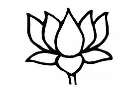 Flor de loto
