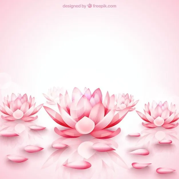 Flor De Loto | Fotos y Vectores gratis