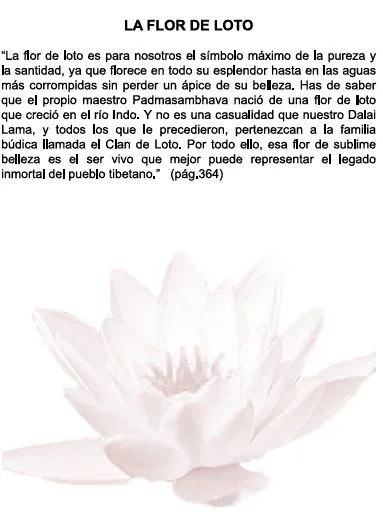 La flor de loto de la novela de Andrés Pascual « Con las palabras…