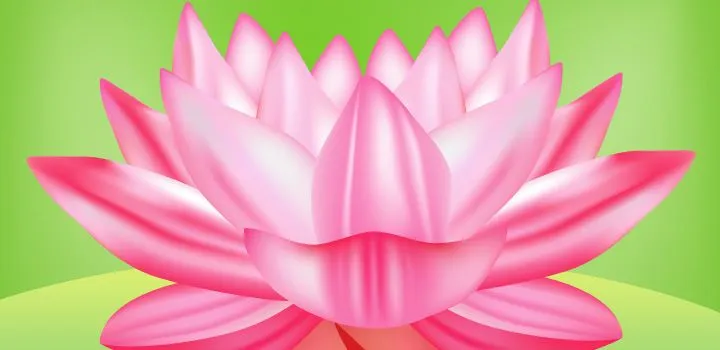 Flor de Loto | Vectores Gratis