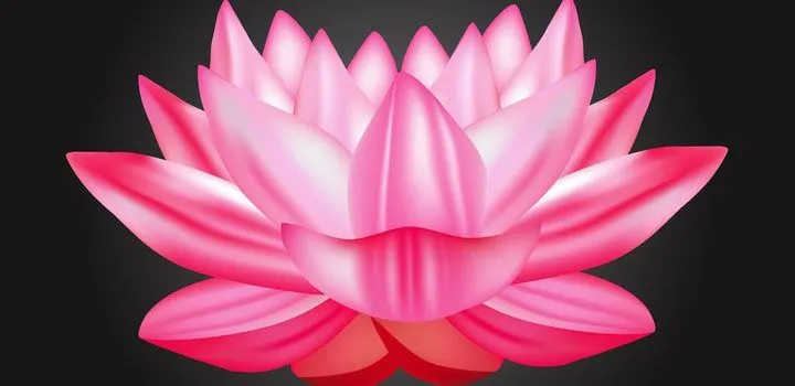 flor-loto-vectores-gratis | Curación del Alma – Emisaria del Amor ... flor-loto-vectores-gratis | Curación del Alma – Emisaria del Amor ...
